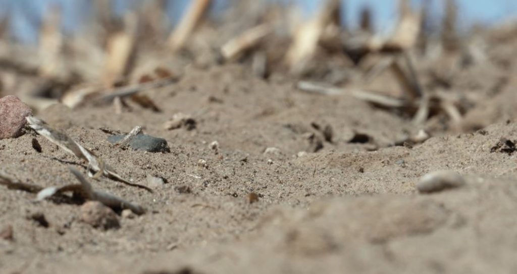 Iowa Soil Temp